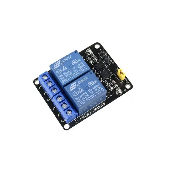 12V Dual Channel Relay Module