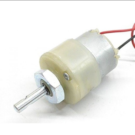 1000 RPM 12V Center Shaft DC Gear Motor