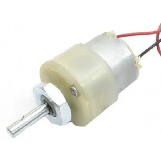2000 RPM 12V Center Shaft DC Gear Motor