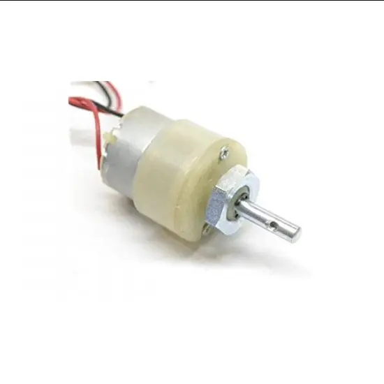 6 RPM 12V Center Shaft DC Gear Motor